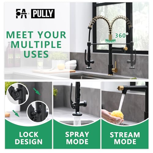 Black&Gold Kitchen Faucet with Sprayer