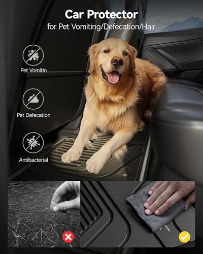 Floor Mats & Cargo Liner Fit for Honda Odyssey 2018