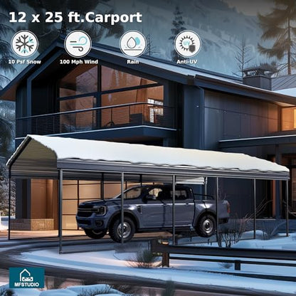 Metal Carport 12x25ft