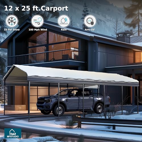 Metal Carport 12x25ft