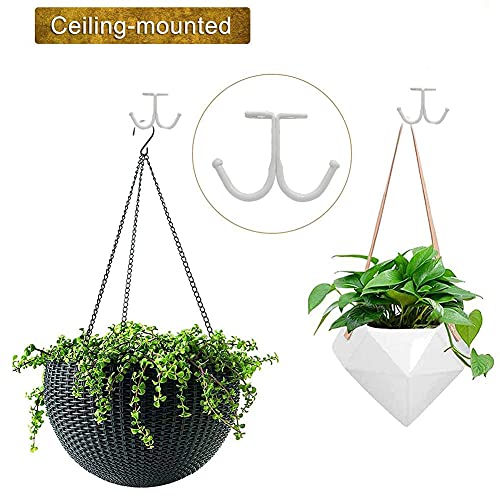 Double Prong Ceiling Hook (10 Count)