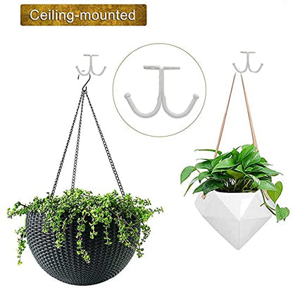 Double Prong Ceiling Hook (10 Count)