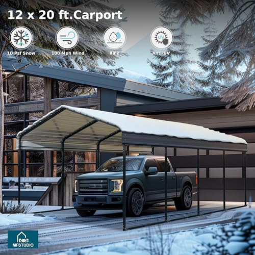 Metal Carport 12x20ft