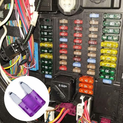 100 Pack Auto Fuses 3 AMP APM