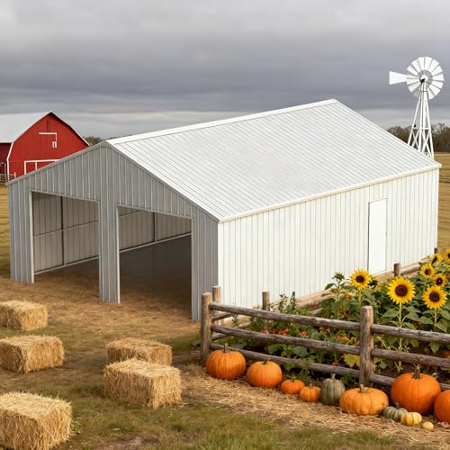33FT x 25FT Metal Carport