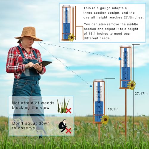 Rain Gauge Outdoor