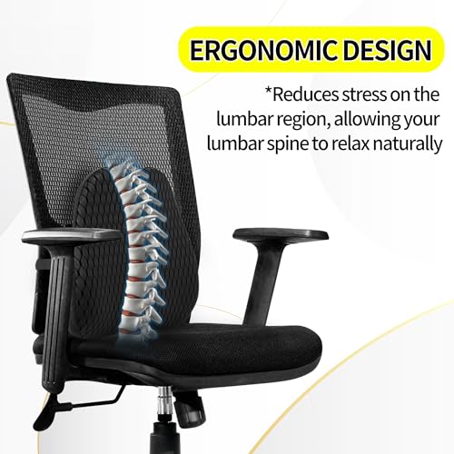 Lumbar Support Pillow for Office Chair