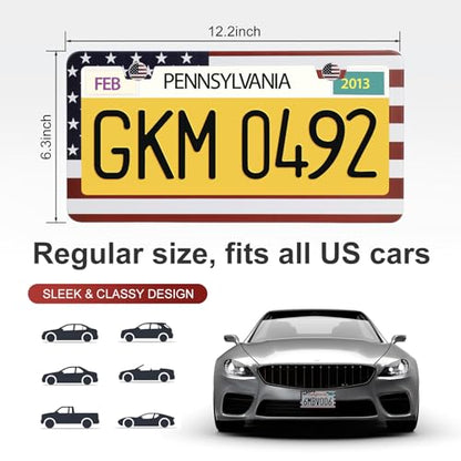 2 Pack License Plate Frames (2 Count)