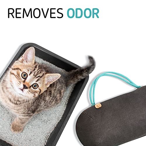 Car Air Freshener
