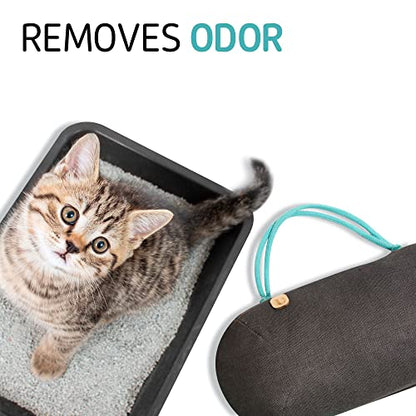 Car Air Freshener