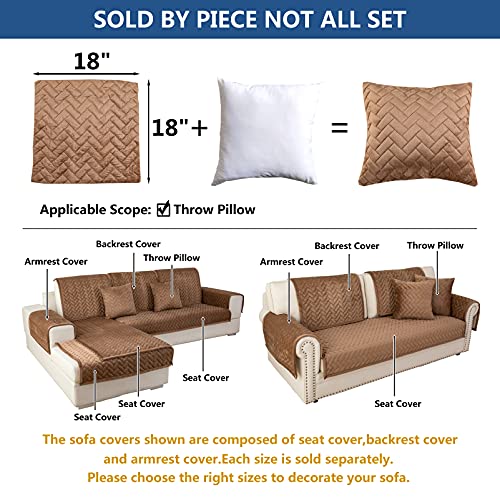 Throw Pillows