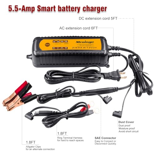 Smart Battery Charger