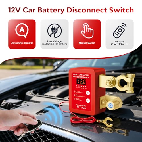 Remote Battery Disconnect Switch 12V (4 Count)
