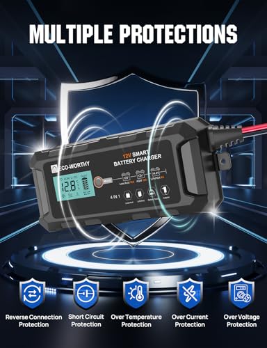 12V 10A Battery Charger for Lead