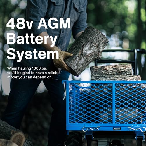 Electric Utility Cart