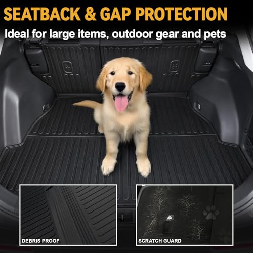 Cargo Mat for 2019