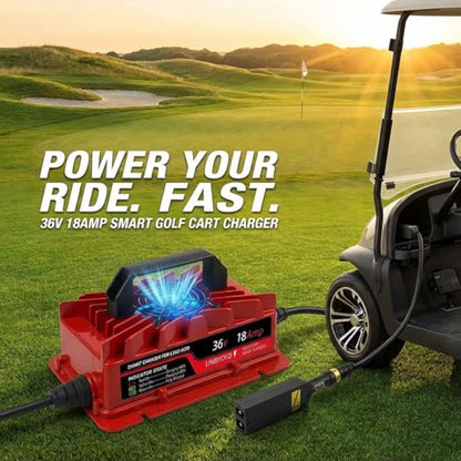 36V Golf Carts Battery Charger for 18 AMP EZGO TXT