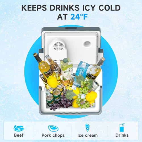 25L Portable Electric Cooler & Warmer