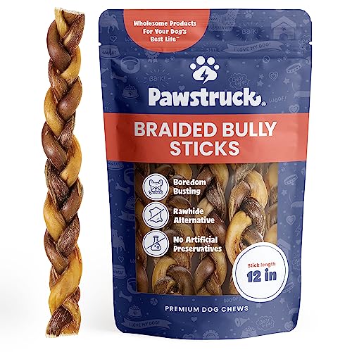 100% Natural 12 in Braided Bully Sticks for Dogs (16 Ounce)
