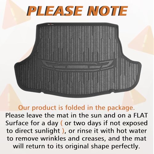 Trunk Mat for 2025