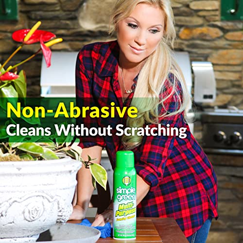 All Purpose Foaming Aerosol Cleaner (40 Ounce)