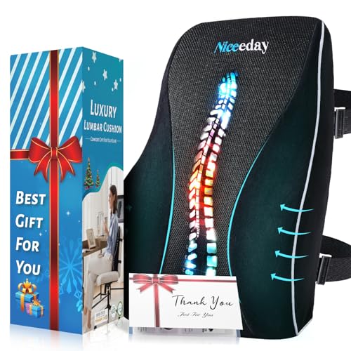 Lumbar Support Pillow for Office Chair Car