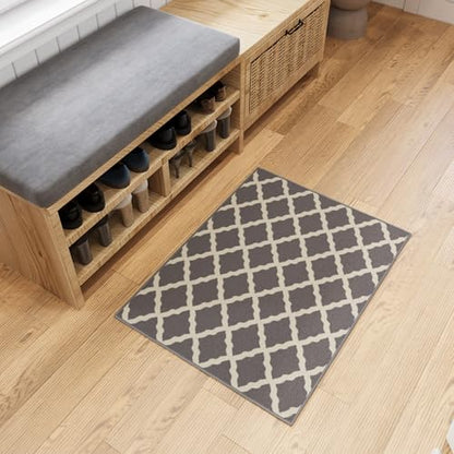 2x3 Indoor Door Mat