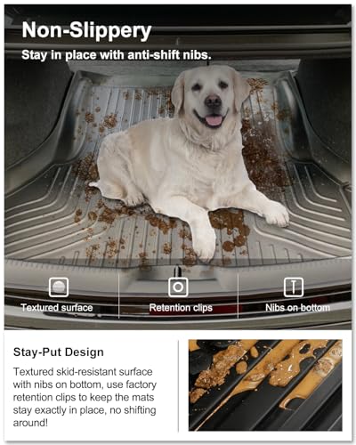 Cargo Mat for 2011