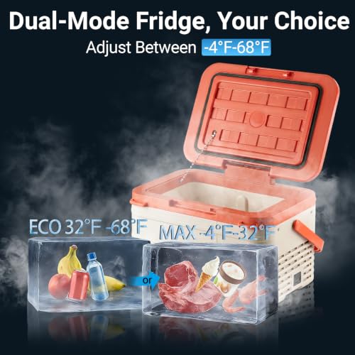 12v Refrigerator