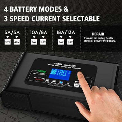 Golf cart Battery Charger