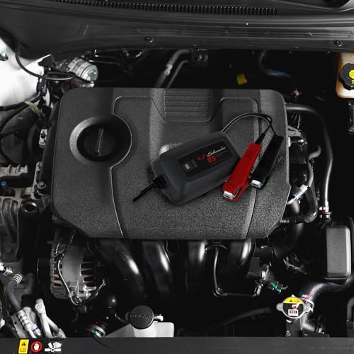 6V 12V Fully Automatic Battery Charger & Maintainer for Car