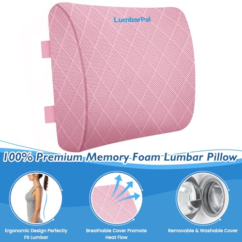 Lumbar Support Pillow for Office Chair