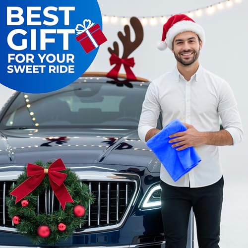 Premium Shammy Cloth for Car Drying (3 Count)