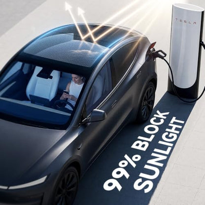 Tesla Model Y Juniper 2025 (2 Count)