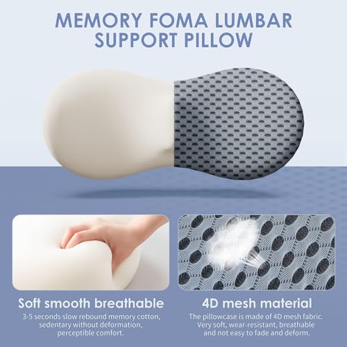 Lumbar Support Pillow for Office Chair