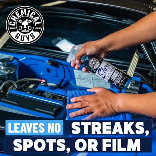 Streak Free Glass & Window Cleaner for Tinted Windows (16 Fl Oz)