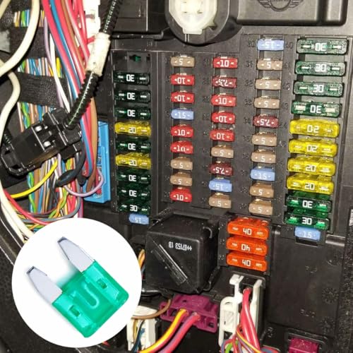 100 Pack Auto Fuses 30 AMP APM (100 Count)