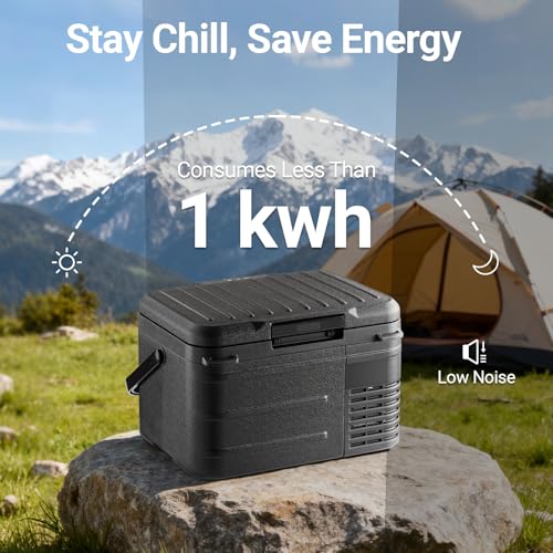 12v Refrigerator 12 Quart