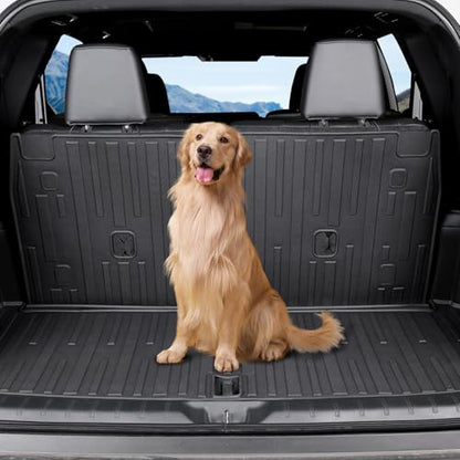 Cargo Mat for Lexus TX 350