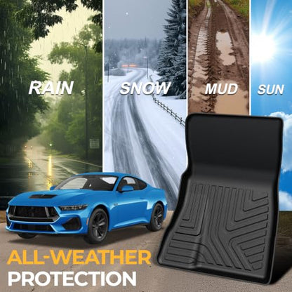 Floor Mats for 2024