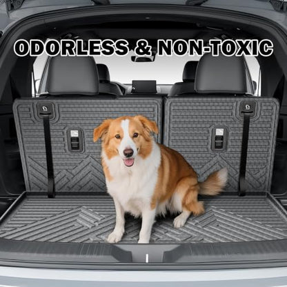 Floor Mats for 2023 (13 Count)