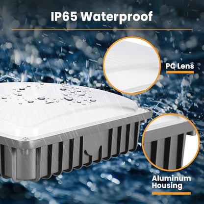 LED Canopy Light 100W