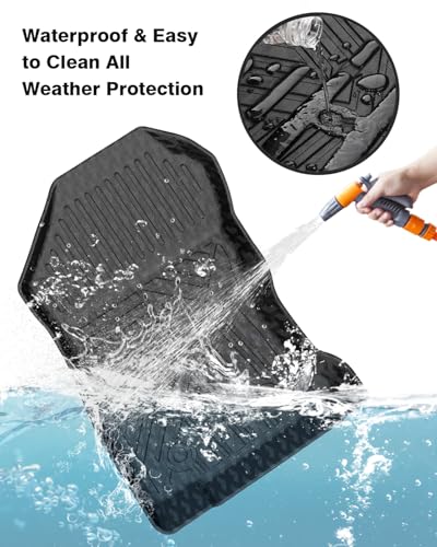 Floor Mats Cargo Liner for 2019