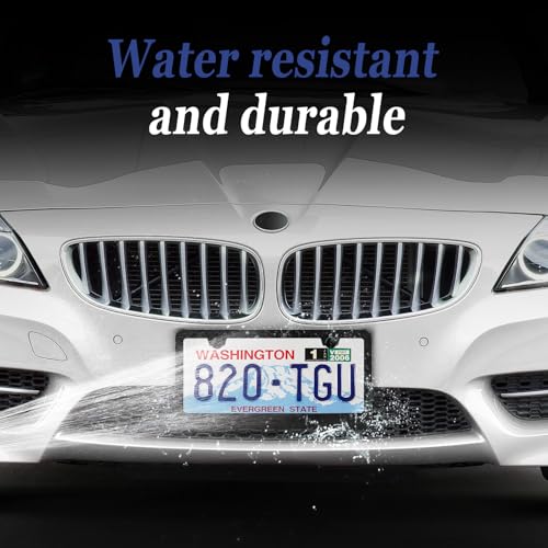 2 Pack Black License Plate Frame