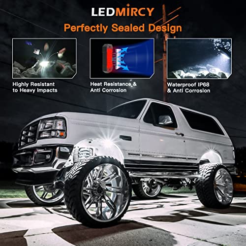Rock Lights Kit (12 Count)