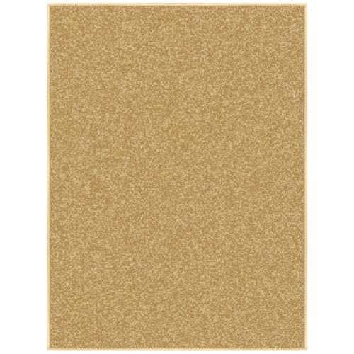 2x3 Entryway Rug