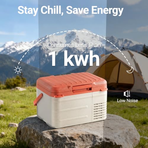 12v Refrigerator