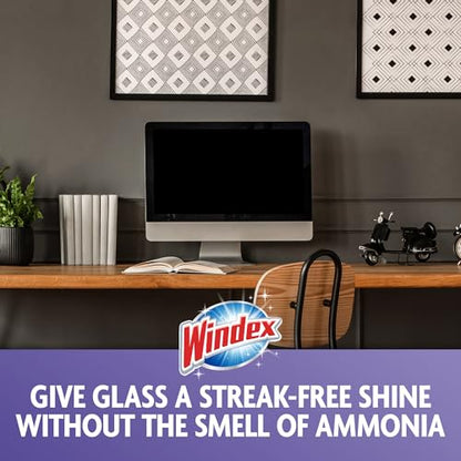 Wipes Glass Cleaning Ammonia Free (25 Count)