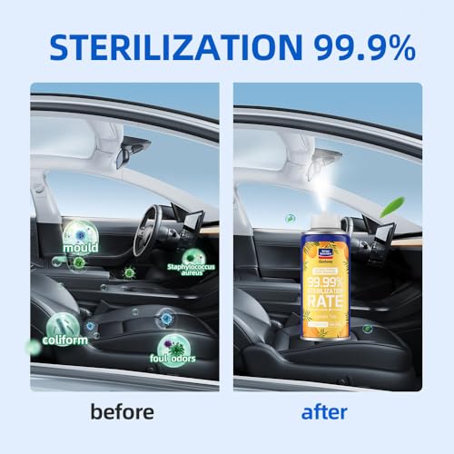 Glodway Whole Car Air Refresher Spray (18 Ounce)
