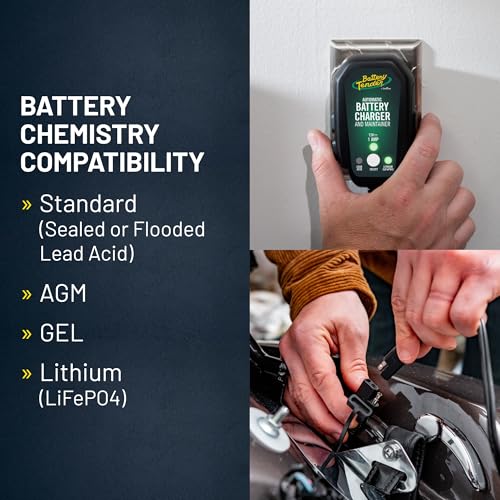 Junior 12V 800mA Battery Charger and Maintainer for Lead Acid and Lithium Batteries